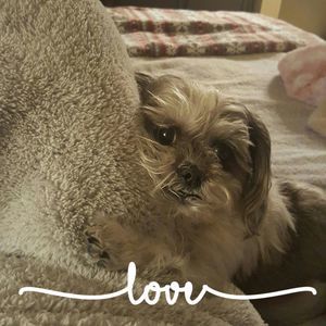 Meet your Posher, Cheri